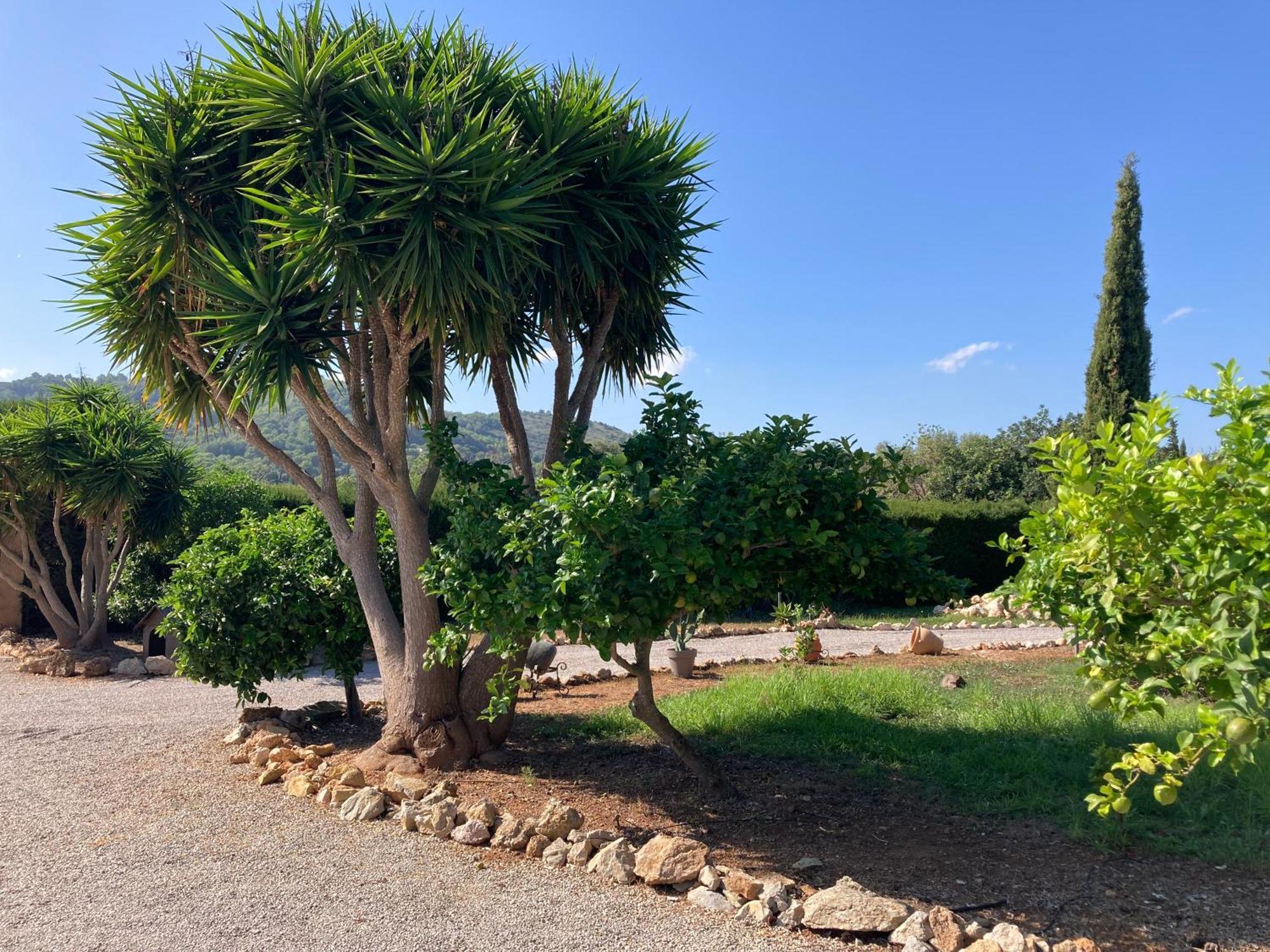 Casa Eden With Private Pool Villa Artá Eksteriør bilde